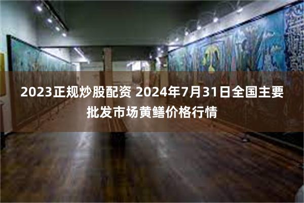 2023正规炒股配资 2024年7月31日全国主要批发市场黄鳝价格行情