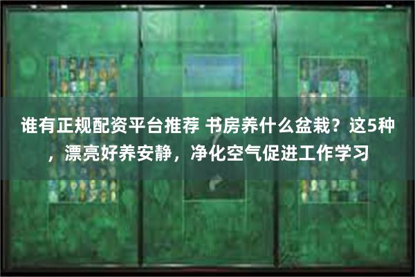 谁有正规配资平台推荐 书房养什么盆栽？这5种，漂亮好养安静，净化空气促进工作学习